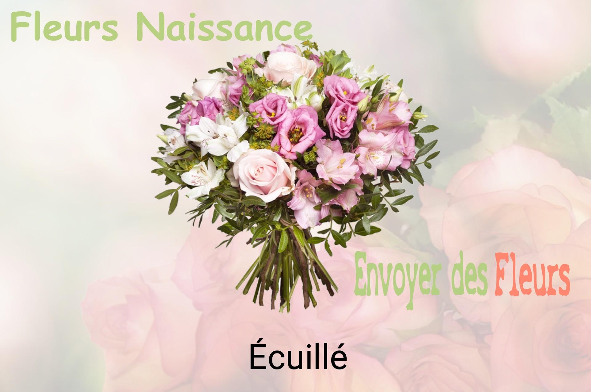 Bouquet de fleurs de naissance livré à Écuillé
