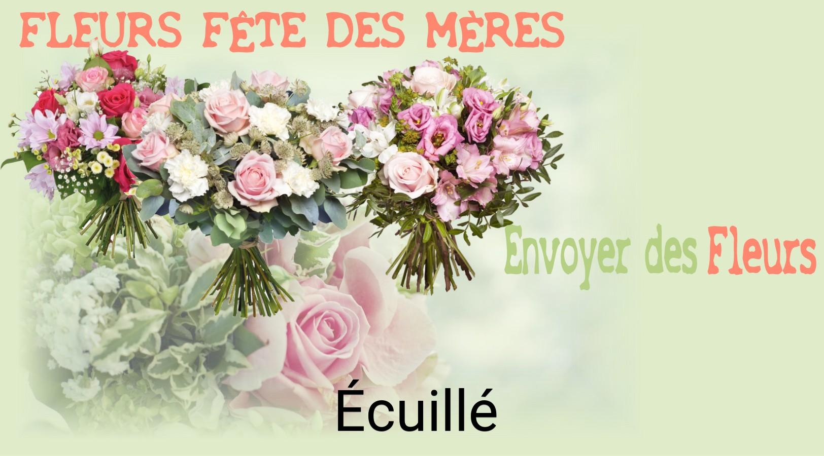 Bouquet de Fête des Mères livré à Écuillé